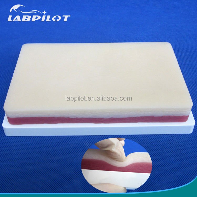 Manikin Tamanho de vida humana Pad de prática de sutura de 3 camadas para o modelo de treinamento de gordura e músculos da pele