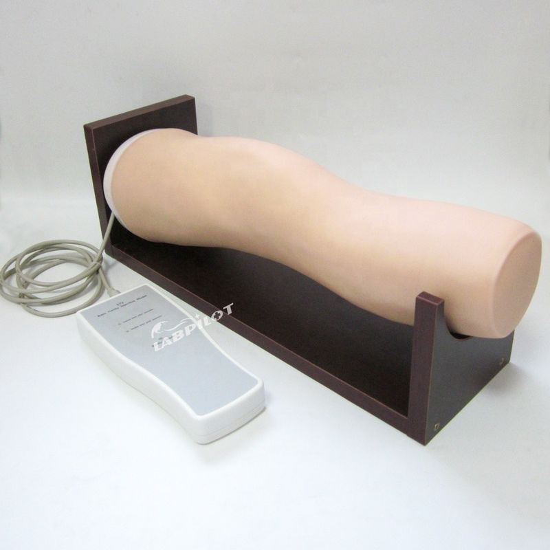 Modelo de Treinamento de Injeção Intraarticular da Articulação do Joelho Vivo Eletrônico para Habilidades de Enfermagem Clínica