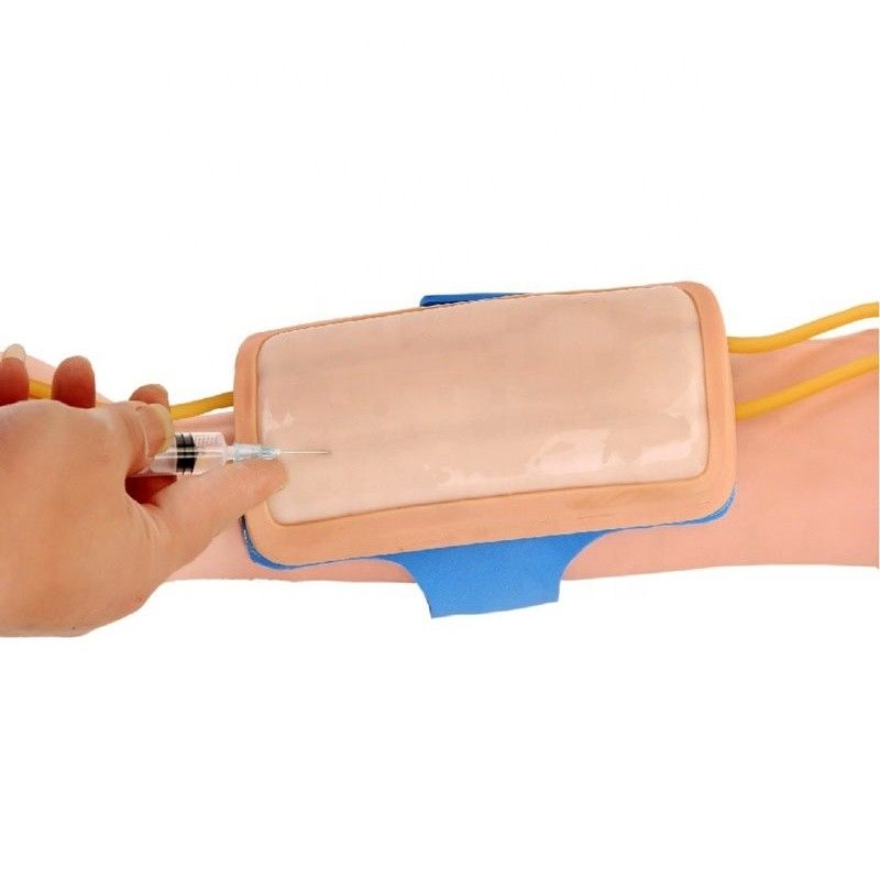 Pad avançado de treinamento de venenção de antebraço de PVC IV Pad de injeção para ciência médica