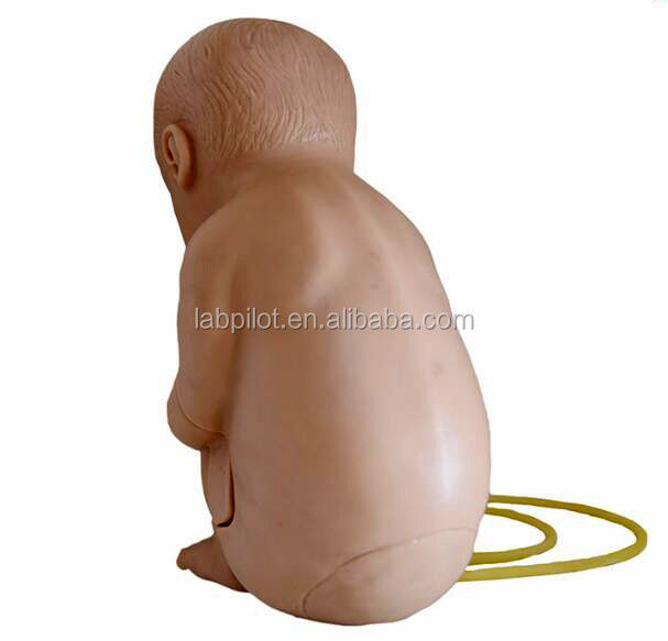 Manikin de tamanho humano para Pediatria Prática de Treinamento de Punção Vertebral Spinal