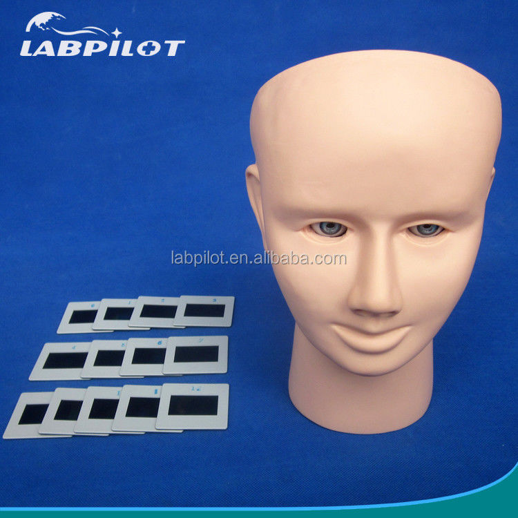 Modelo de Ensino de Inspeção Ocular PVC para Exame Funduscópico de Tamanho da Vida Humana