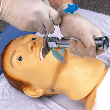 Simuladores de Ensino Médico Treinamento de Enfermagem Manikin para alimentação e intubação por tubo NG
