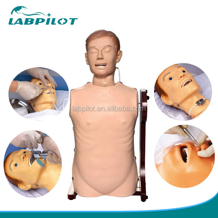Manikinho de alimentação nasal de tamanho humano para cuidados respiratórios e prática gastrointestinal