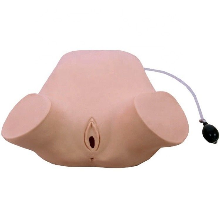 Avançado PVC Multifuncional Quatro Manobras Leopold Modelo Rectal e Exame Vaginal Manikin Treinamento
