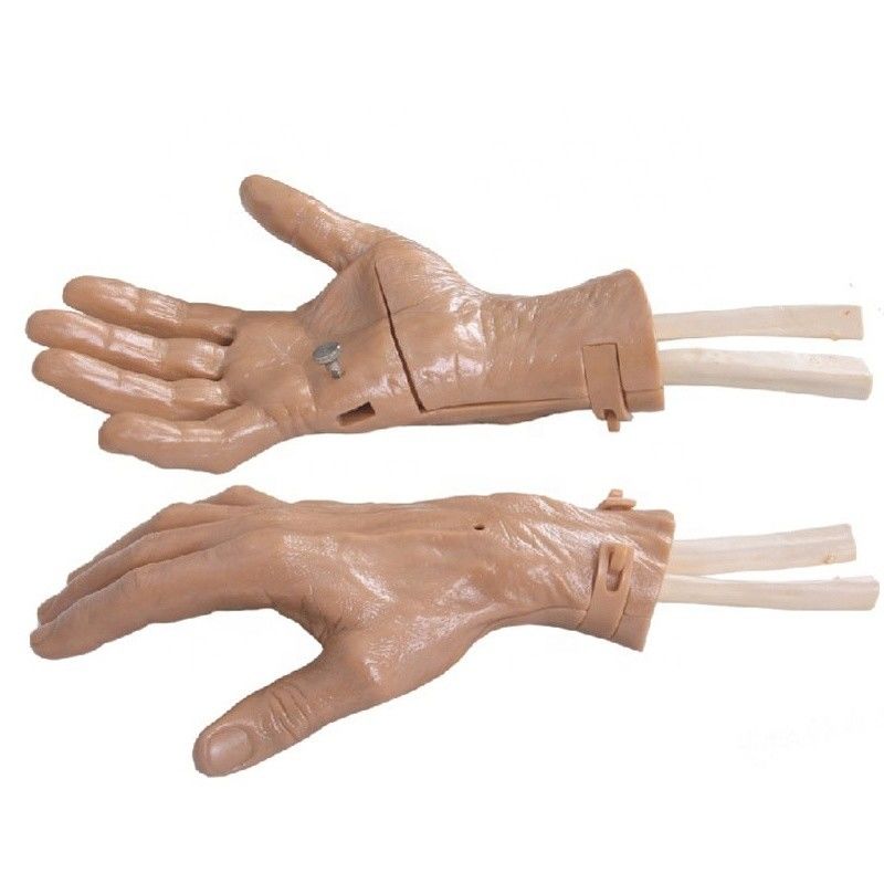 Realistic Hand Movement Hand Training Simulator de Recuperação com Estrutura de Anatomia Viva