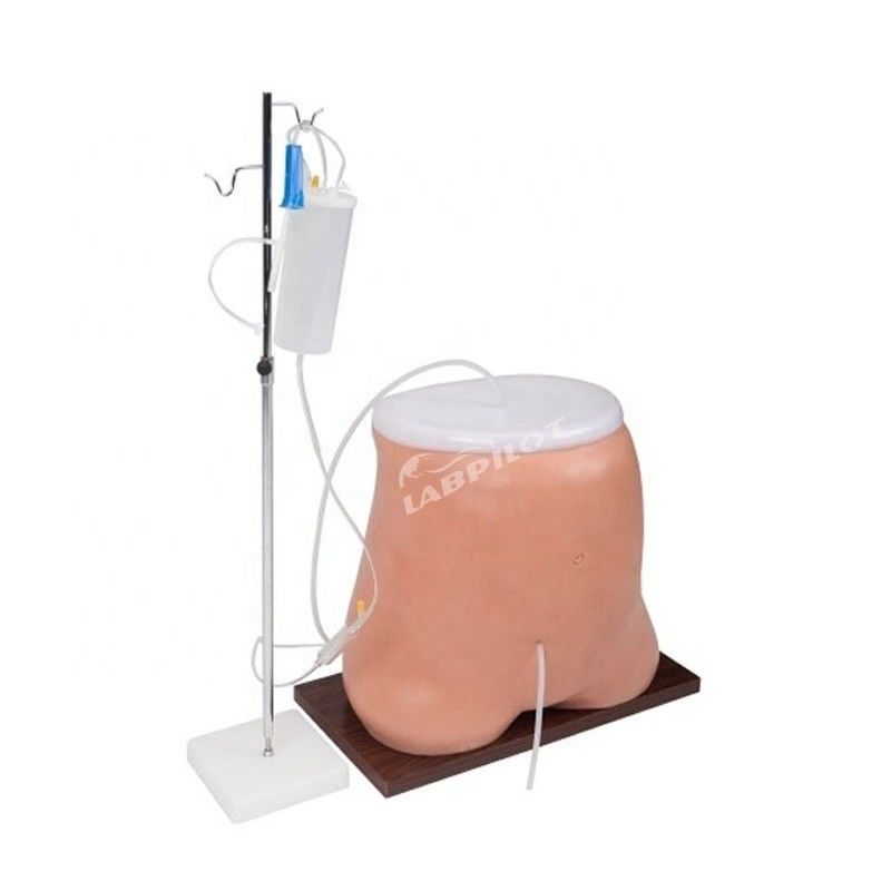 Modelo de simulador de treinamento de diálise peritoneal de tamanho humano com material avançado de PVC