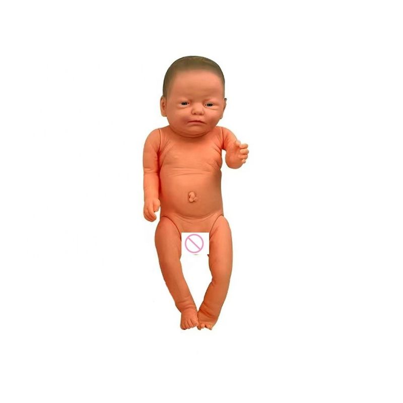 Dimensão de vida humana Formação em Maternidade e Pediatria Manikin com corpo de plástico macio