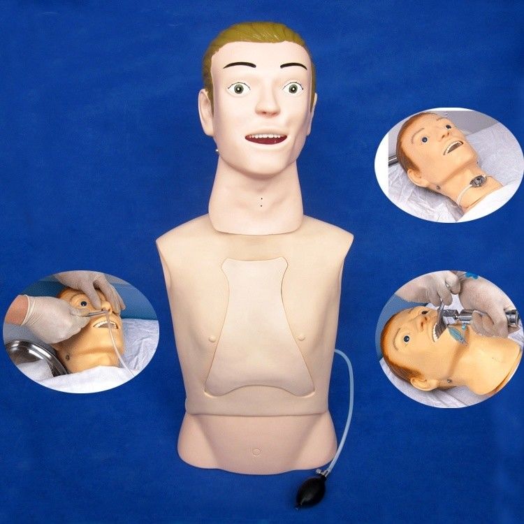 Manikin de meio corpo O melhor modelo de ensino para cuidados de alimentação nasogástrica em hospitais