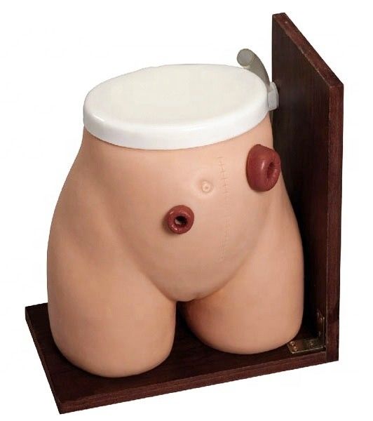 Habilidades de Enema Ensino Manikin A ferramenta perfeita de treinamento para Fistula Médica Stoma Cuidados