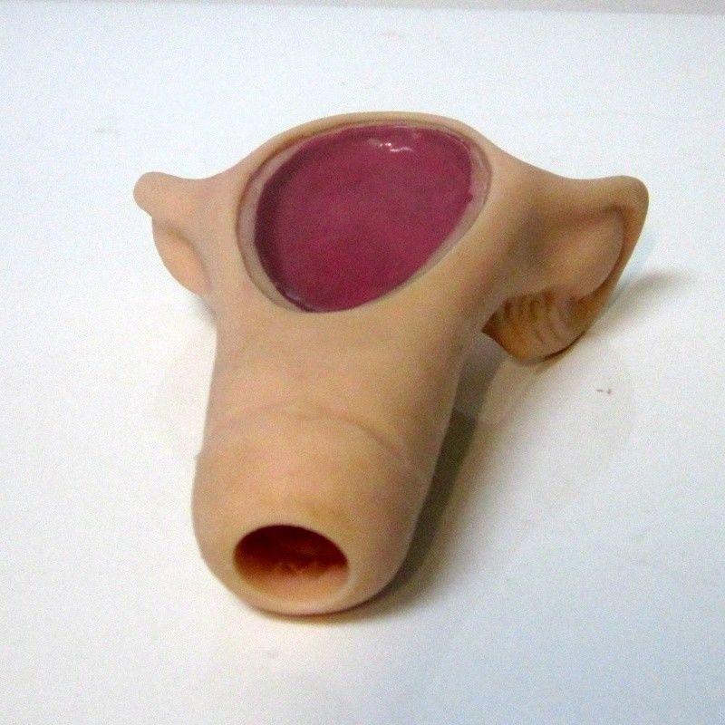 Simulador de enfermagem realista para treinamento contraceptivo Modelo de anatomia médica do DIU feminino