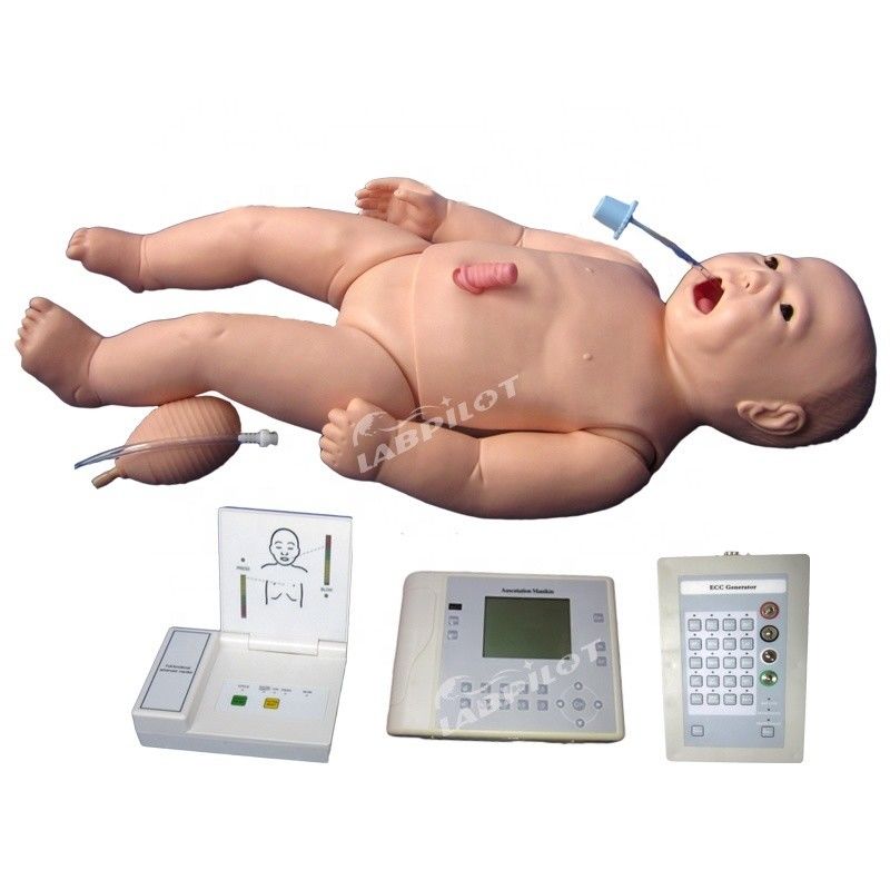 ACLS Enfermagem Neonatal Manikin Tamanho da vida humana Subjeto para ensino de ciências médicas