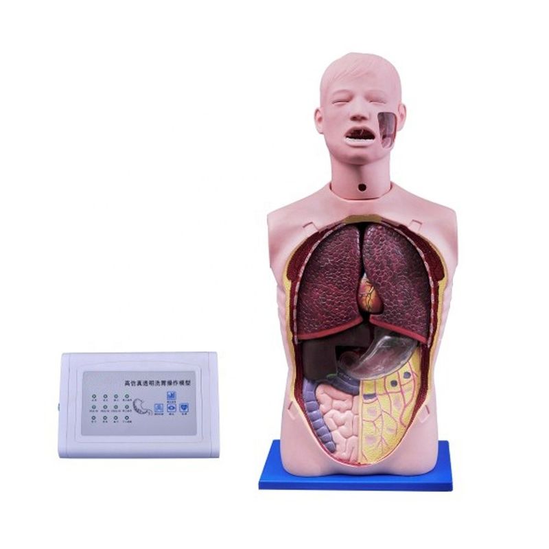 Manikin de enfermagem multifuncional para sução e treino de traqueotomia